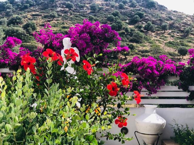 La Bastide Apartment Skyros Exterior photo