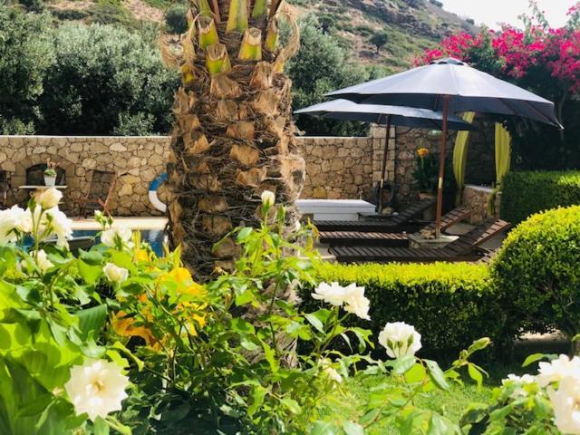 La Bastide Apartment Skyros Exterior photo