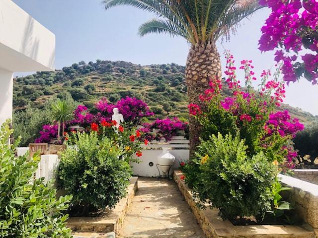 La Bastide Apartment Skyros Exterior photo